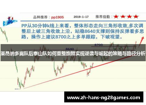 莱昂纳多离队后泰山队如何重整旗鼓实现逆袭与崛起的策略与路径分析