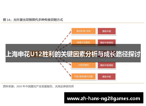 上海申花U12胜利的关键因素分析与成长路径探讨