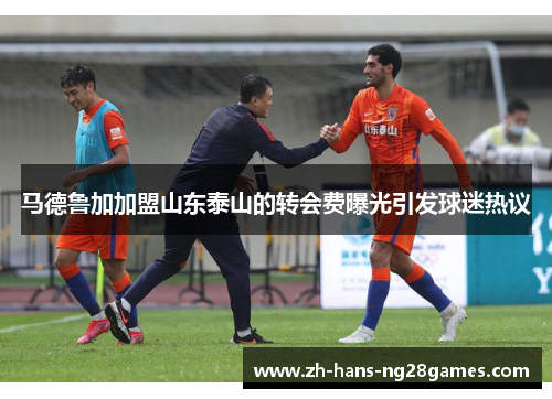 马德鲁加加盟山东泰山的转会费曝光引发球迷热议